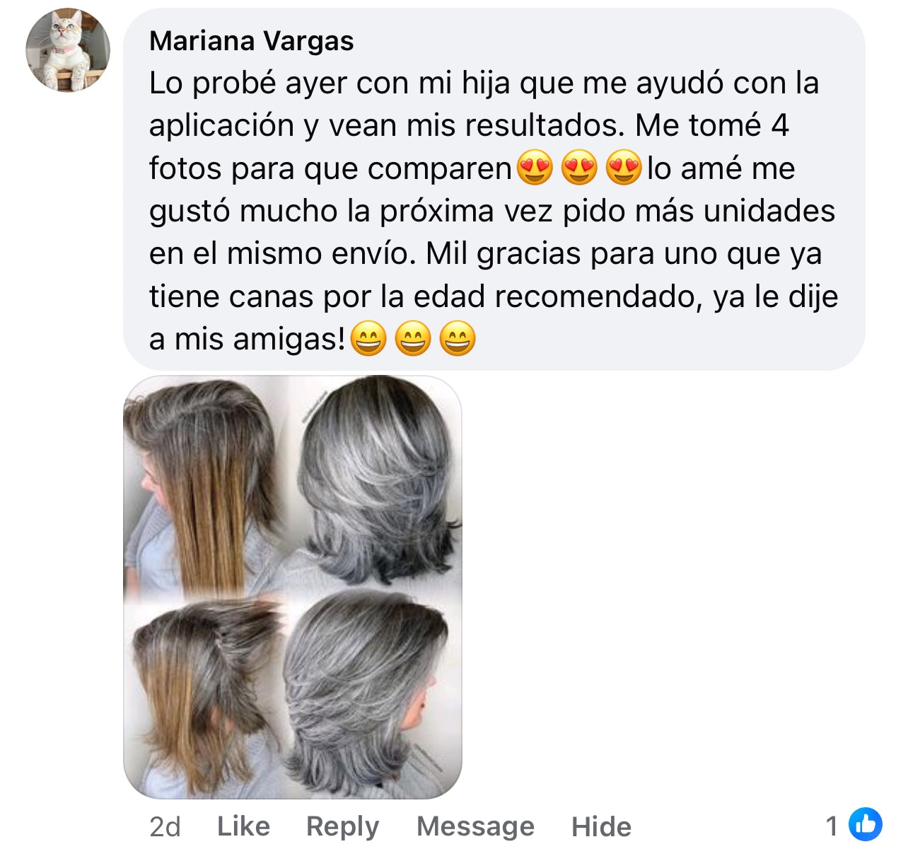 Silver Gray👩🏻🦳🔥Mascarilla para cualquier cabello