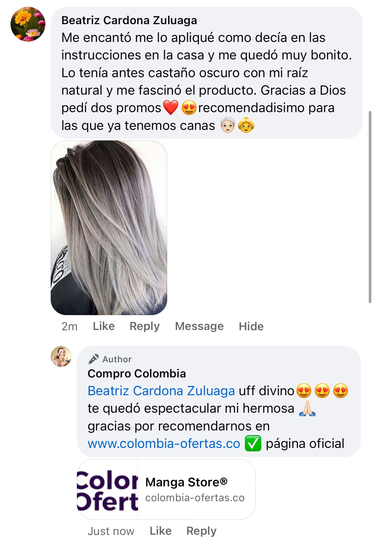 👩🏻‍🦳Gris Platino👩🏻‍🦳Mascarilla para Cualquier Cabello🔥sin decolorar